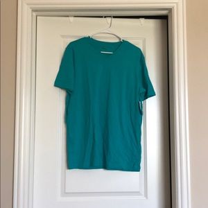 Express v-neck stretch shirt.